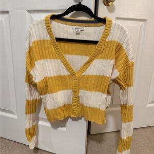 American Eagle Crop Cardigan
